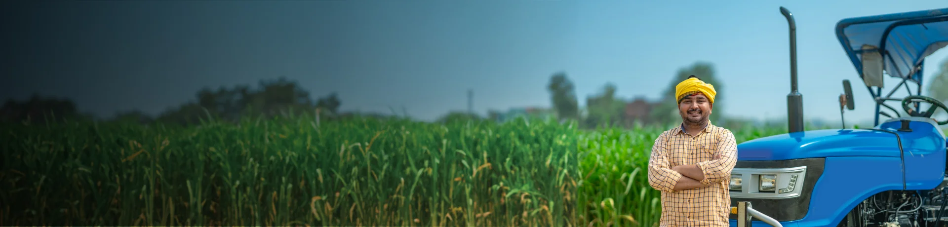 img/Banner